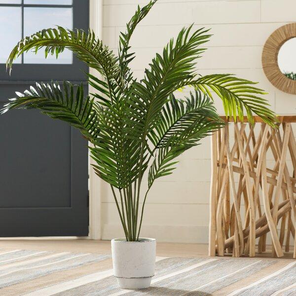 Esters Floor Palm Plant in Pot