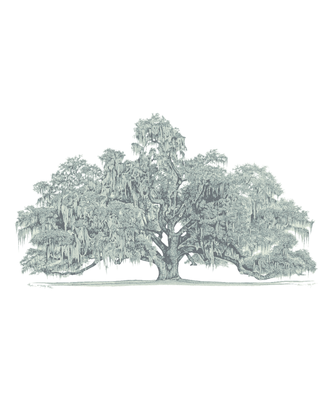The Wedding Website of Mollie Claire Deane and William Wallace Molinaro