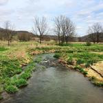 Swiss Valley Nature Preserve and Nature Center
