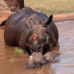 Oklahoma City Zoo