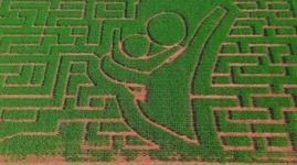 Lane Southern Orchards