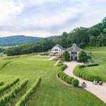 Pippin Hill Farm & Vineyards