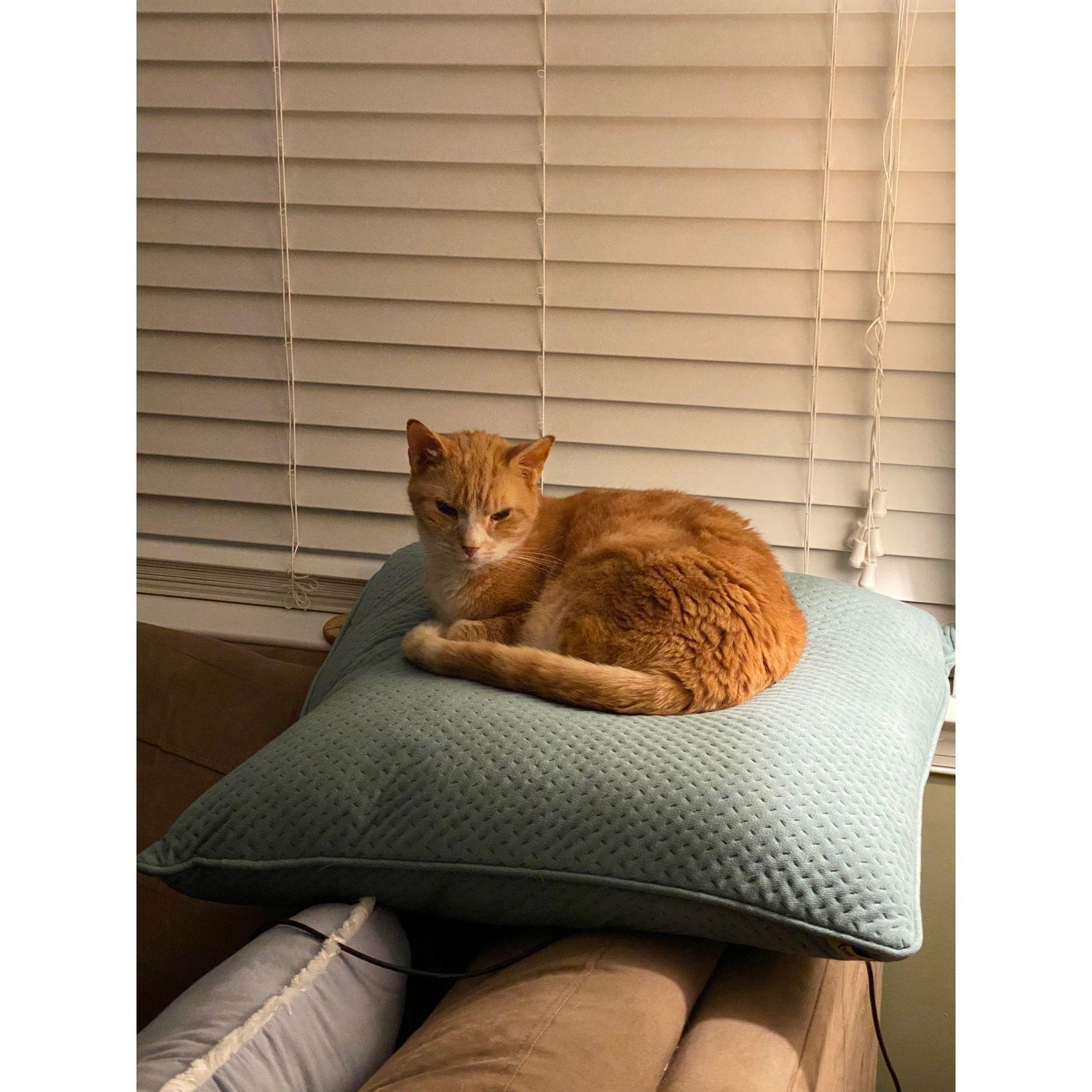 And of course, Fred.
