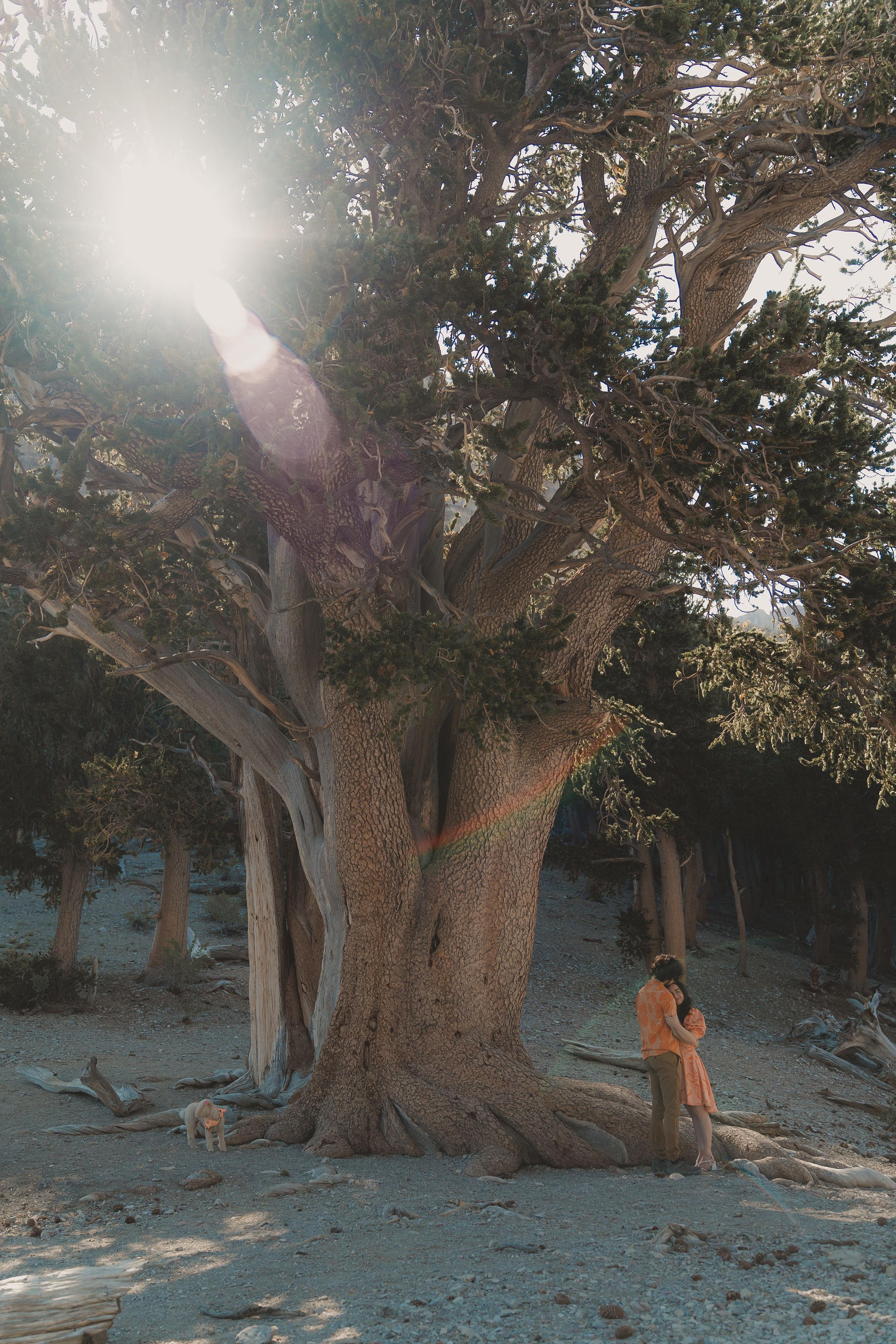 The Wedding Website of Whitley Beattie and Dylan Barth