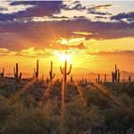 Brown’s Ranch Trails