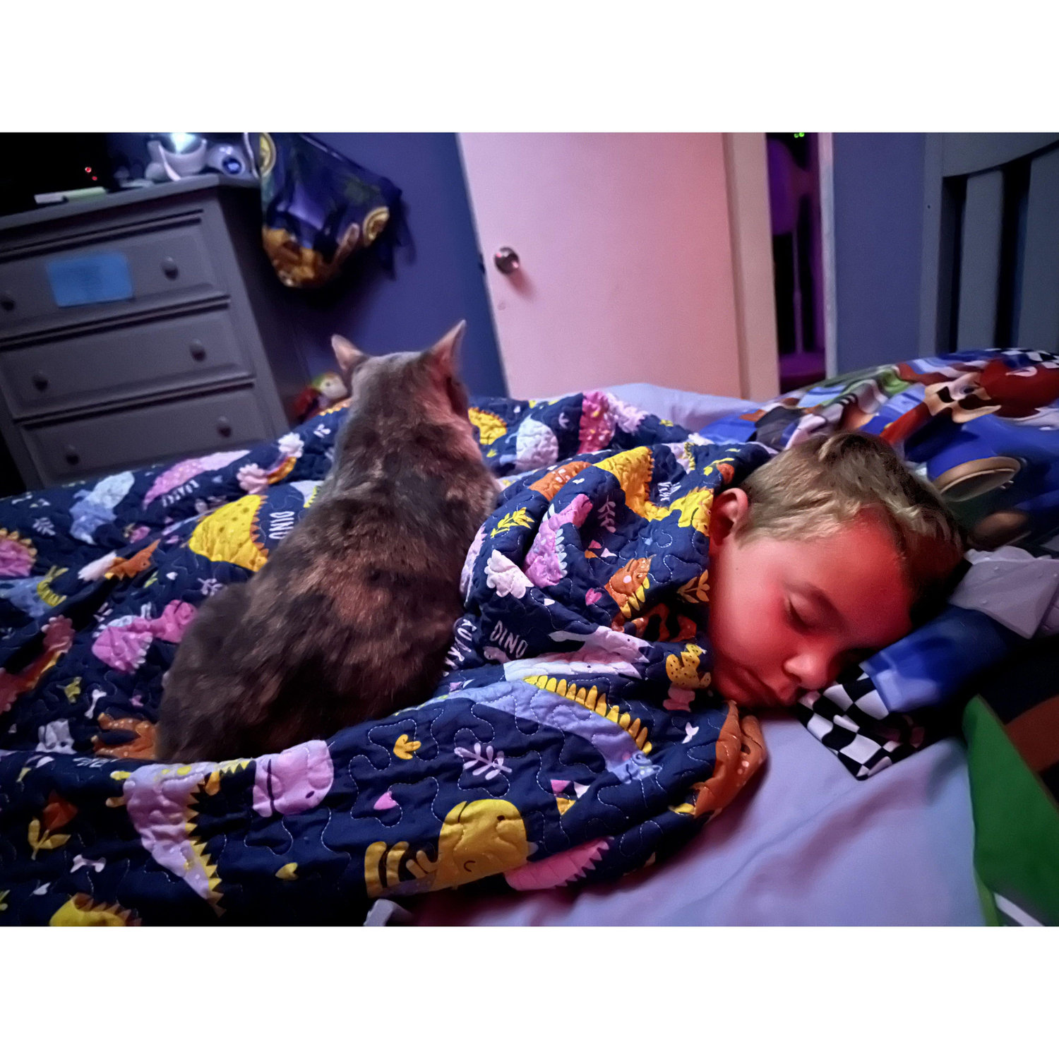 Bedtime for the kiddos (Grayson & Daisy)