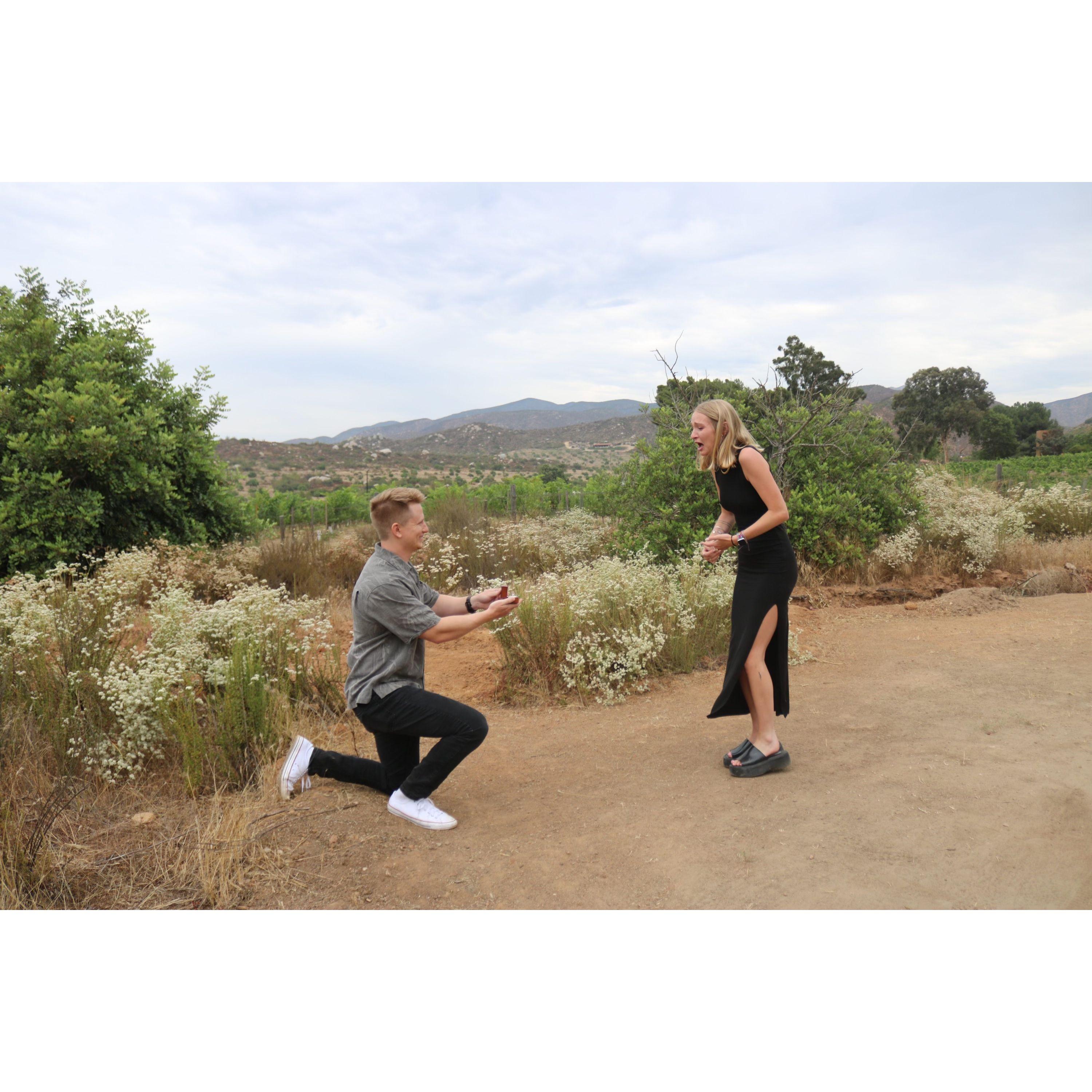 2023 Date of Proposal | I think Ryley's face says it all