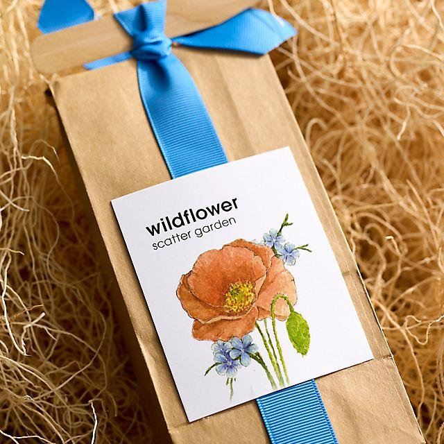 Garden Seed Scatter