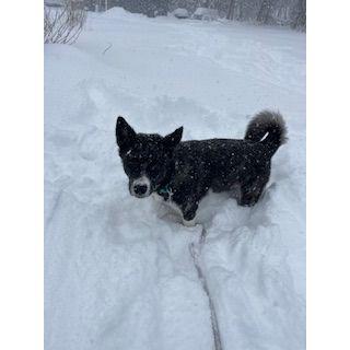 Fur Baby Eden!