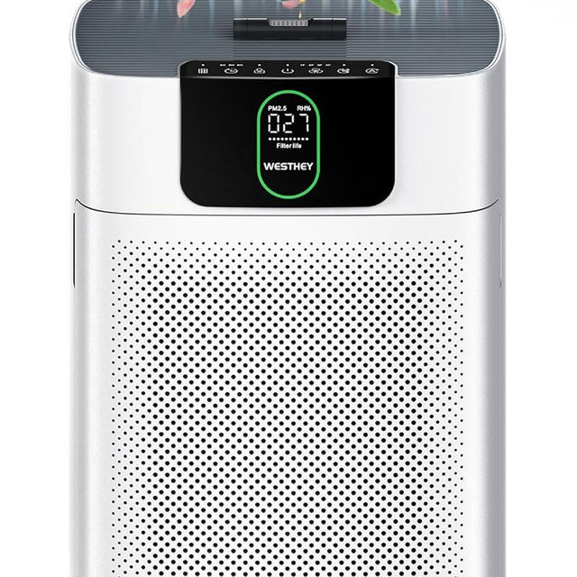 WESTHEY Air Purifiers for Home Large Room Up to 1820 ft² Double Sided Air Inlet H13 HEPA Air Purifiers Filter with PM2.5 Air Quality Monitoring Auto Fragrance Sponge, Air Cleaner for Pet Kids Elders