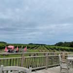 Paumanok Vineyards