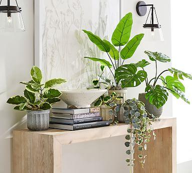 Get the Look: A Touch of the Tropics