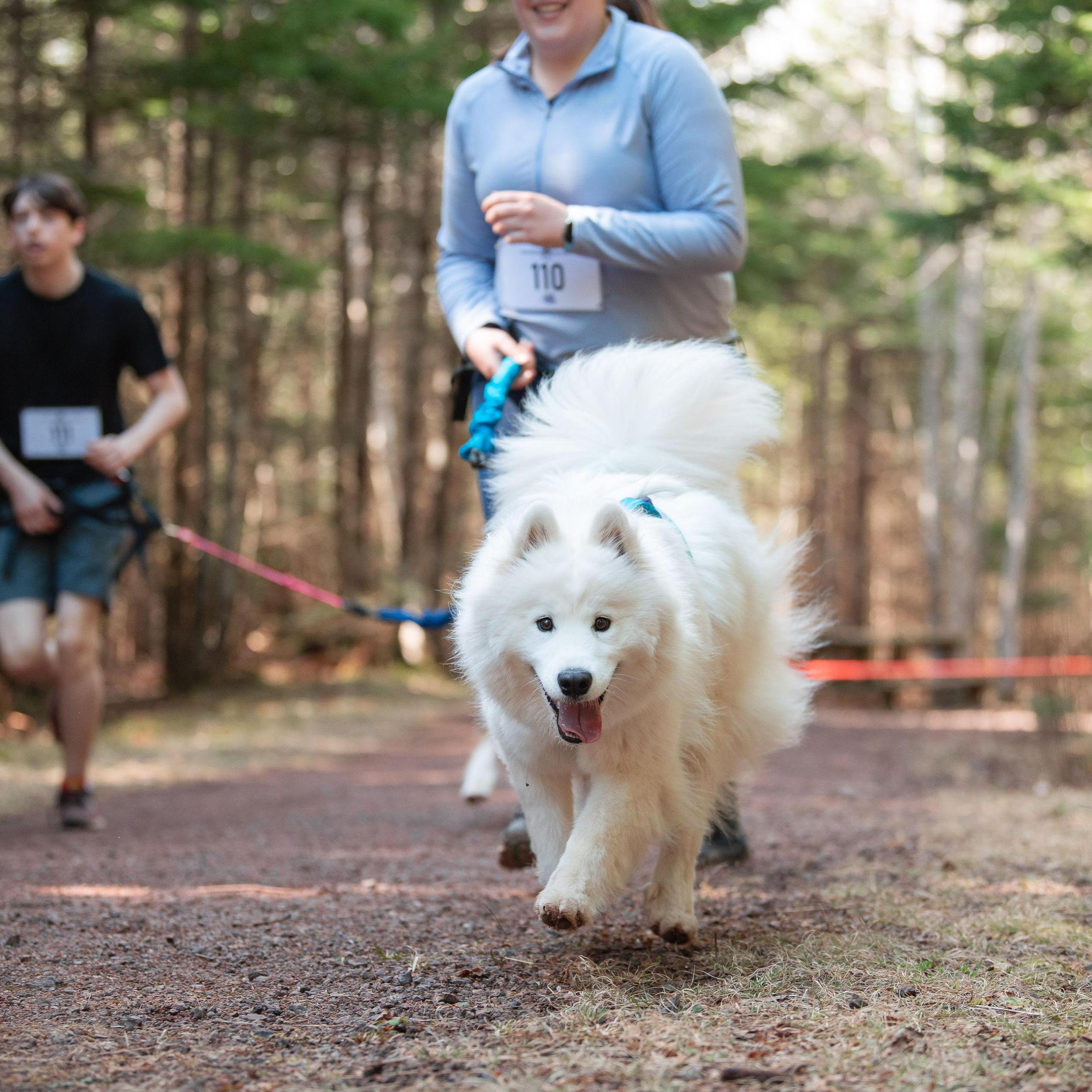 Première course Canicross à Luna et Emilie / Luna and Emilie's first Canicross race
Photo credit: Daniel T photo