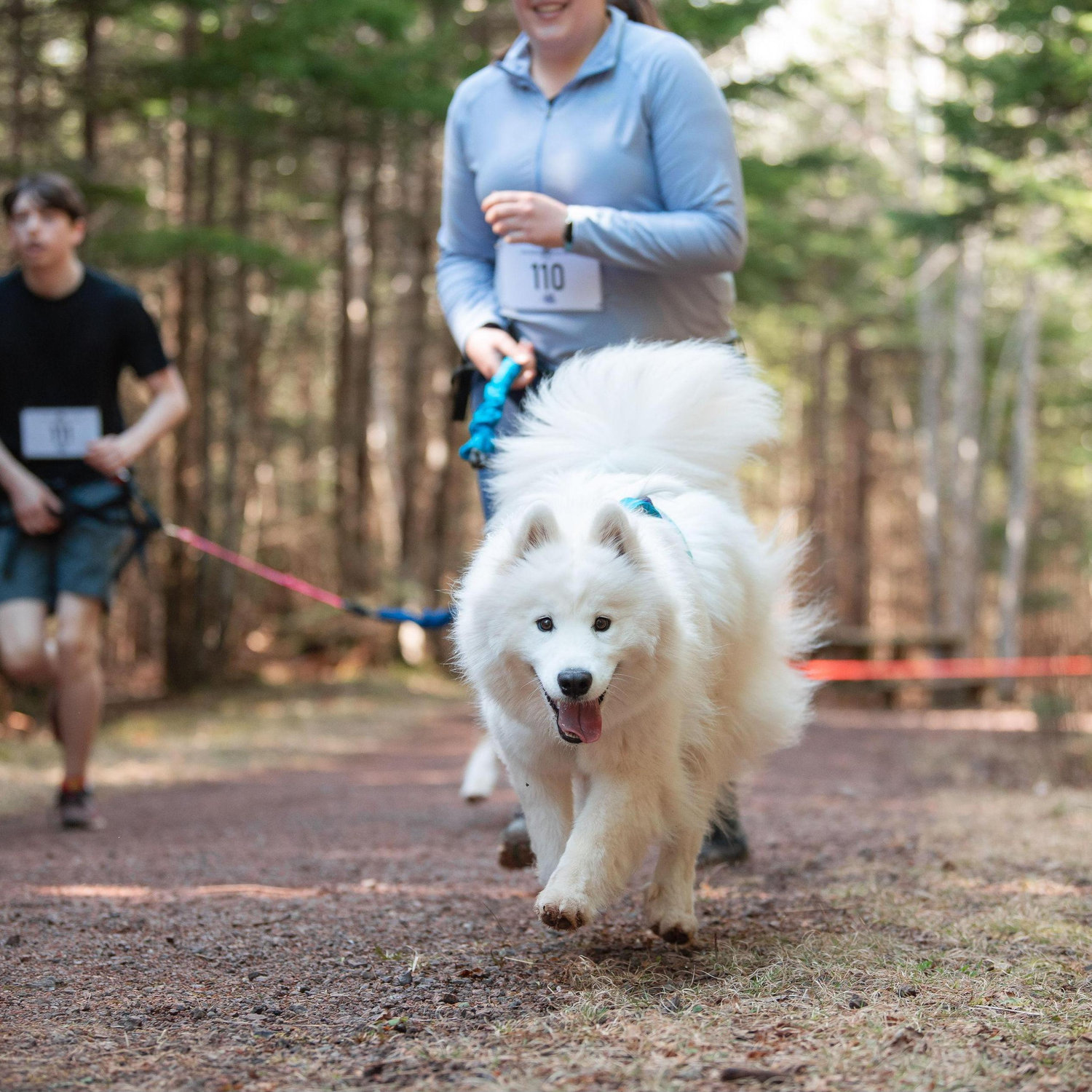 Première course Canicross à Luna et Emilie / Luna and Emilie's first Canicross race
Photo credit: Daniel T photo