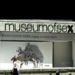 Museum of Sex