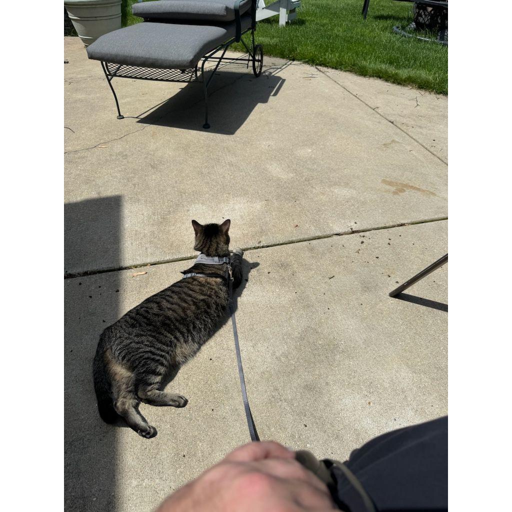 Minnie "Daddy's girl" -The observant one
