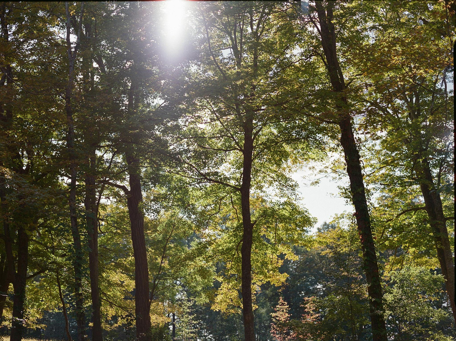 The Wedding Website of Madison Reid Lyman and Zachary Giroux Reeber