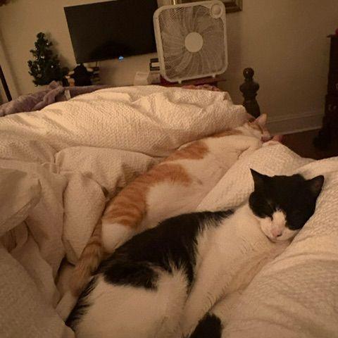First snuggles
