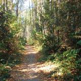 Putney Woods County Park