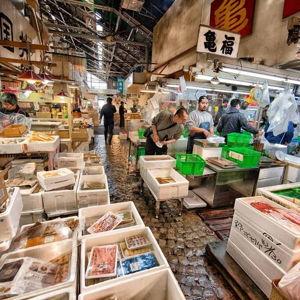 Tour of Tsukiji Outer Market