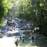 The World Famous Dunn's River Falls & Park
