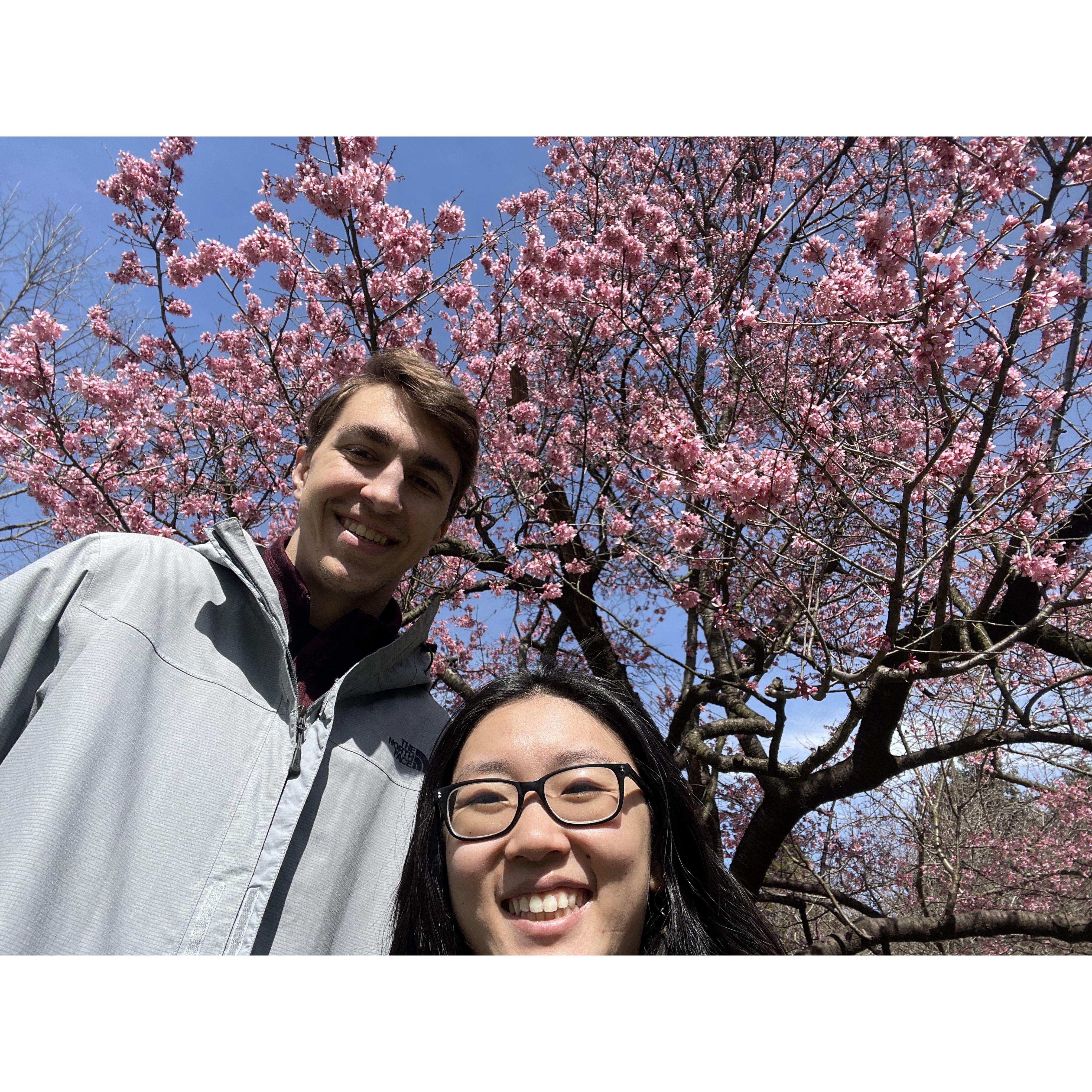 We decided to go to a botanical garden in March and found the only tree in bloom.
