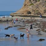 Del Mar