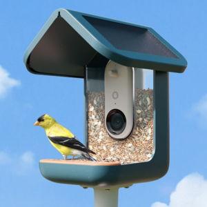 Bird Buddy: Smart Bird Feeder PRO