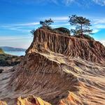 Torrey Pines State Natural Reserve
