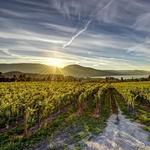 La Frenz Estate Winery
