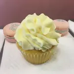 Walking Savannah Dessert Tour