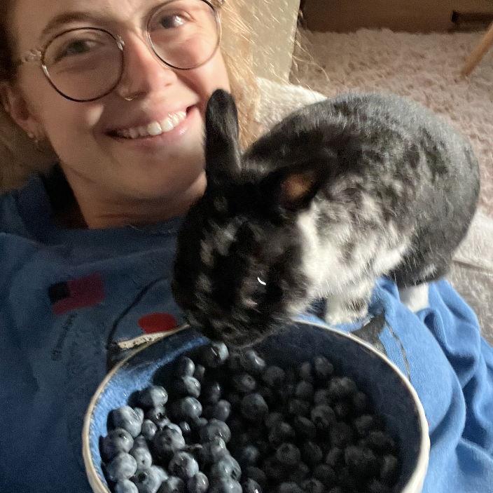 Action shot of Goose going for blueberries