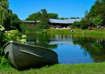 Jeremiah's Bullfrog Fish Farm - Eat My Fish