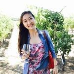 Livermore Valley Wine Country