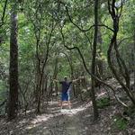 Bent Creek Experimental Forest