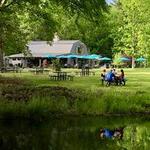 Three Hammers Winery