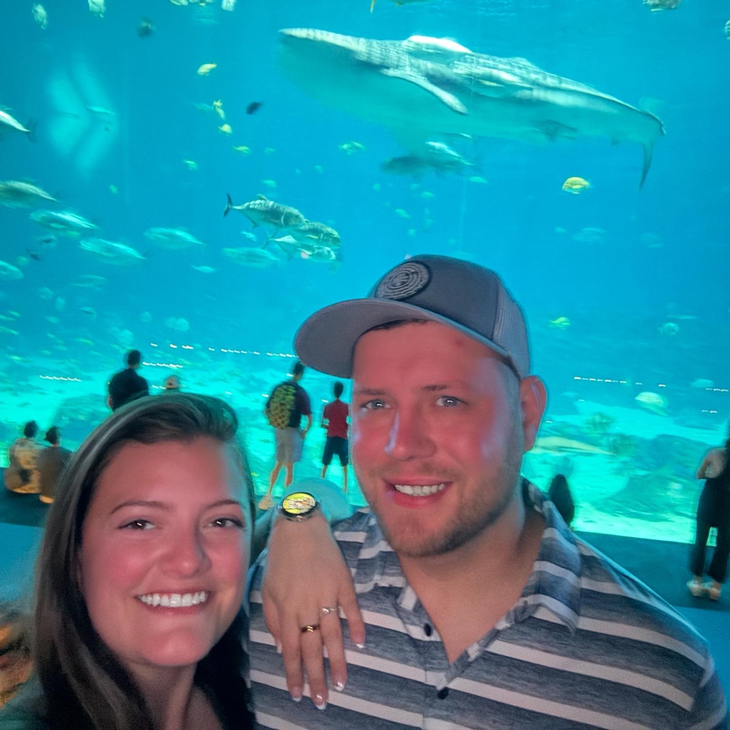 The morning we got ENGAGED at the Georgia Aquarium