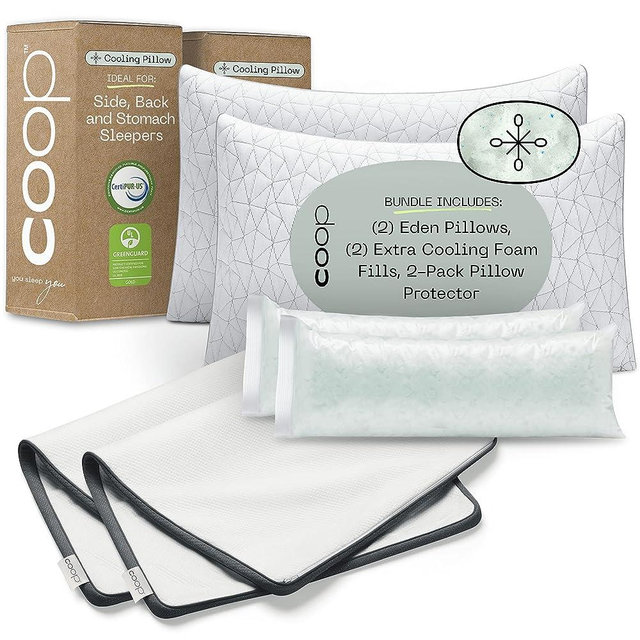 Coop Home Goods - 2 Pack Eden Memory Foam Pillows and 2 Pack Lulltra Zippered Pillow Protector Covers Bundle (King)
