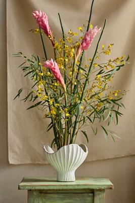 Terracotta Scallop Shell Bowl Planter