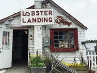 Lobster Landing
