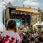 Local Festivals & Events