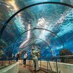 SeaWorld San Diego