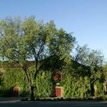 Beaulieu Vineyard