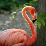 Denver Zoo
