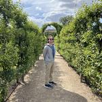 The King's Garden