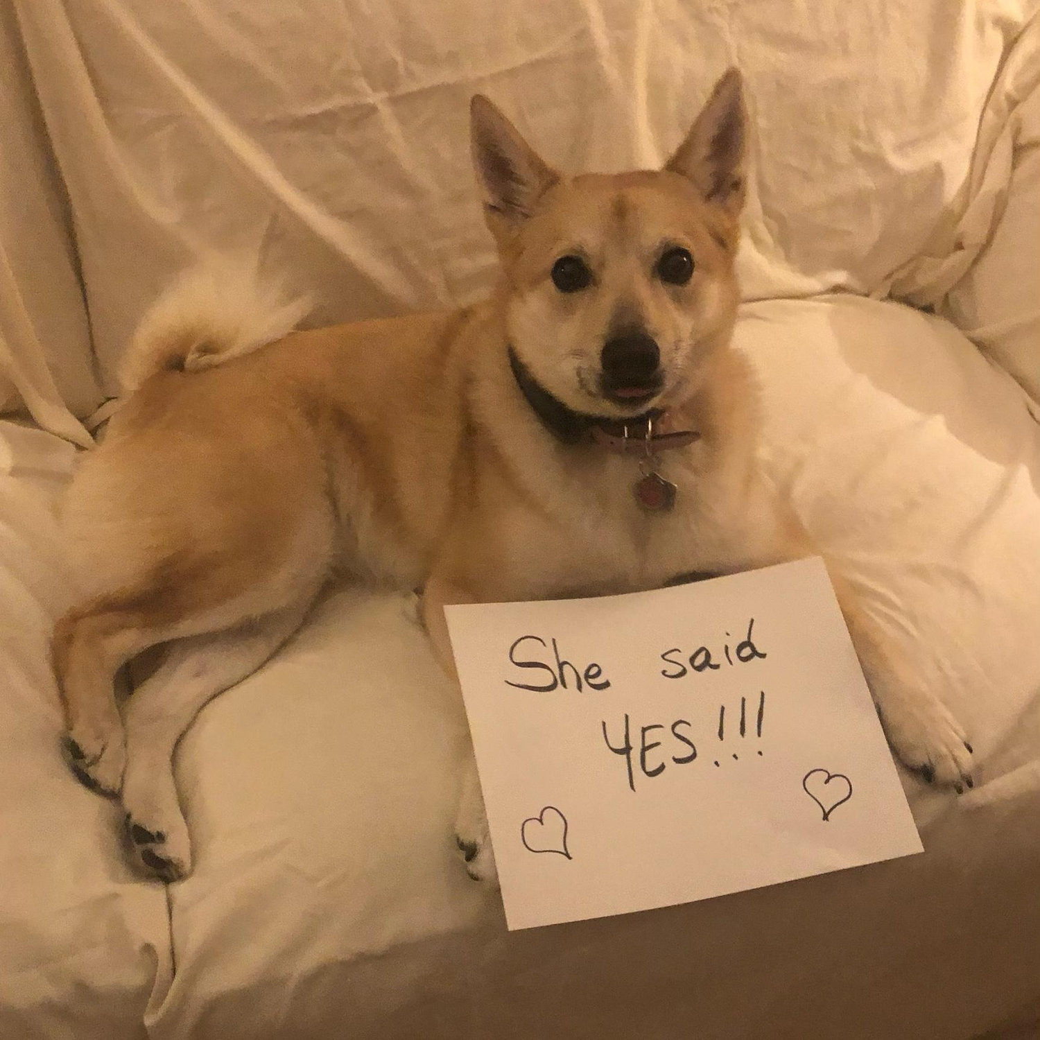 Freya was excited too!!