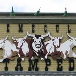 Temecula Stampede