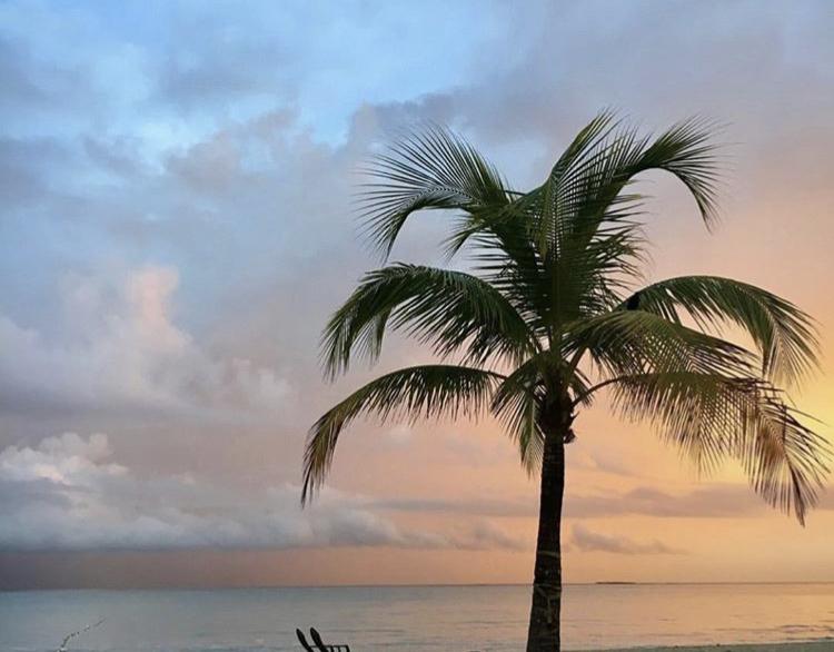 The Wedding Website of Karla Martinez and Isaac Sabach