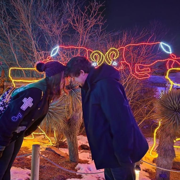 Zoo Lights 2022