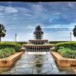 Pineapple Fountain
